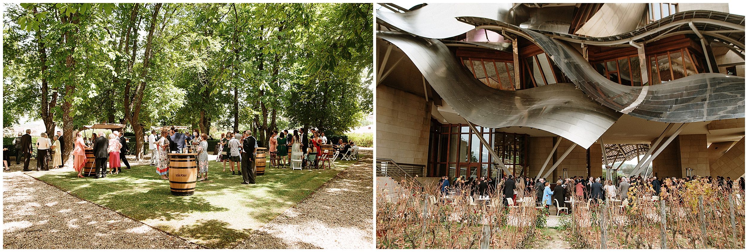wedding in a winery wedding in a winery