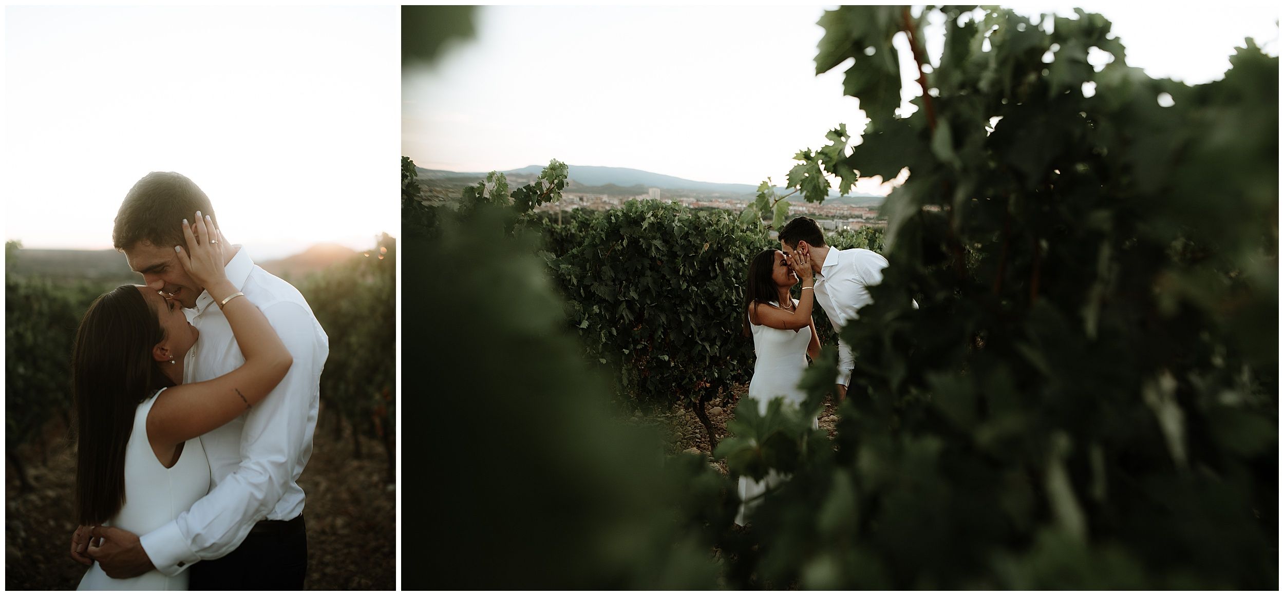 wedding in a winery wedding in a winery